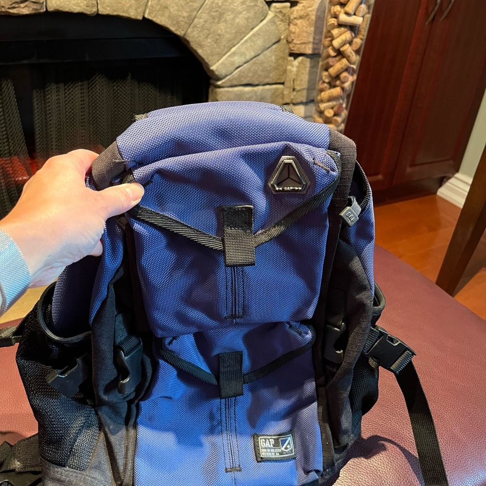 Gap Blue and Black Men's Backpack